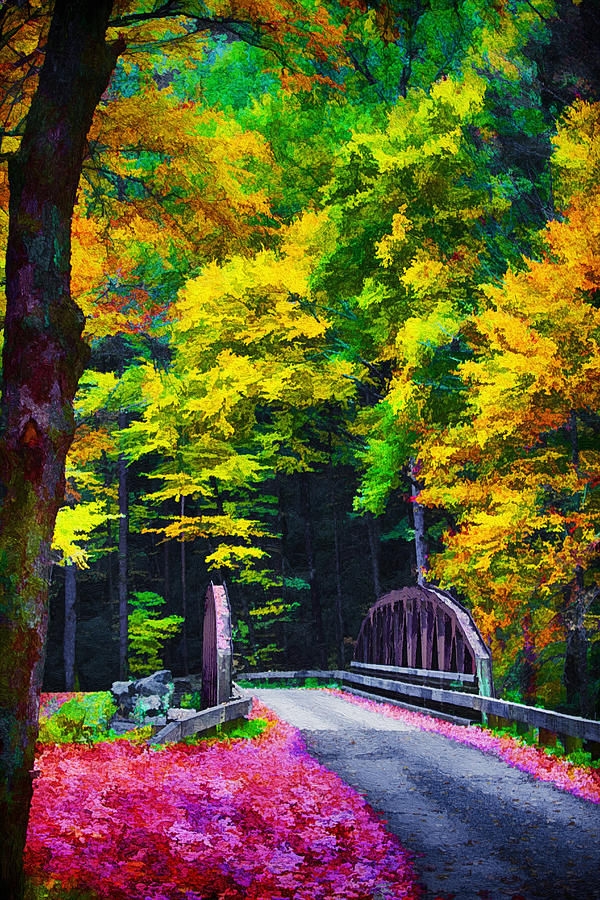 Western North Carolina Backroads and Forests Painting by John Haldane
