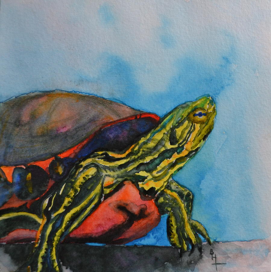 Turtle Painting - Western Painted Turtle of Colorado by Beverley Harper Tinsley