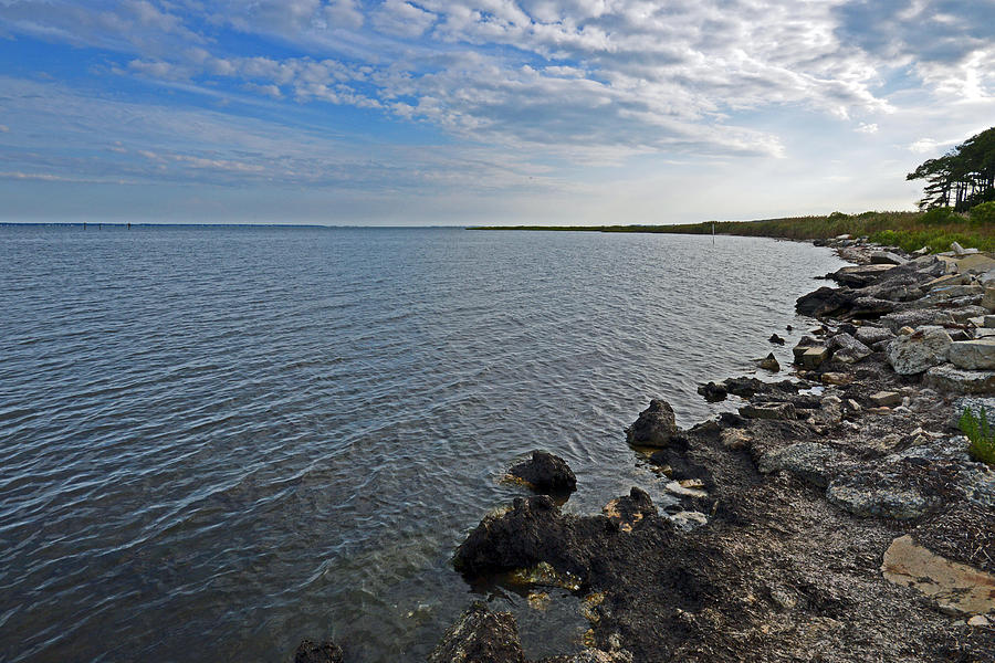 Western Shore of Chincoteague Bay Photograph by Bill Swartwout
