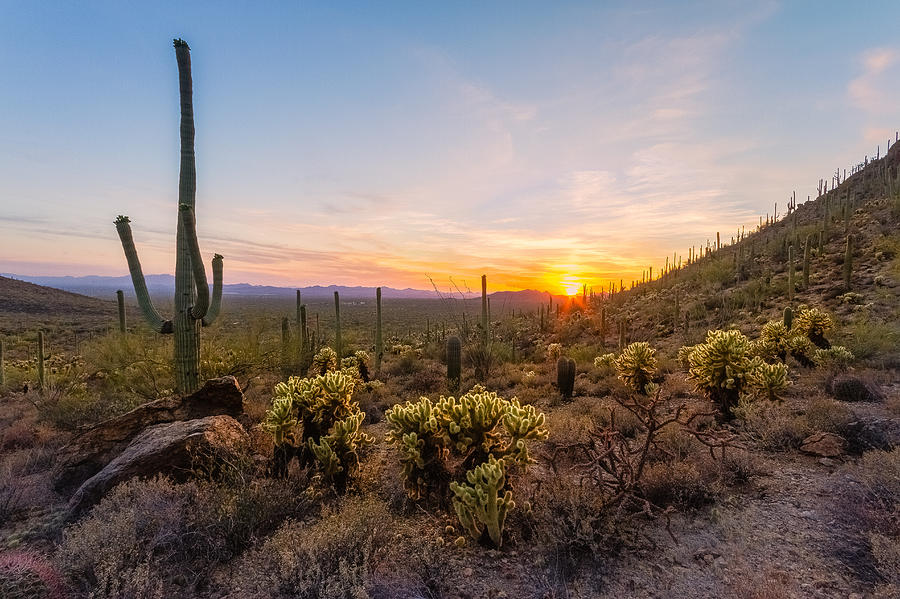 Western Sunset Photograph by Bryan Bzdula