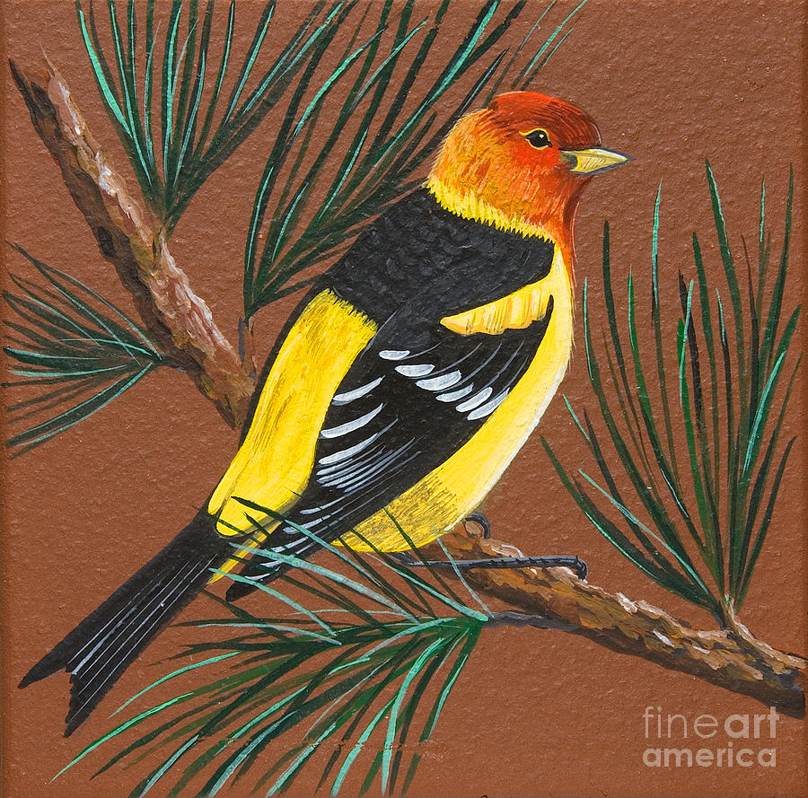 Western Tanager Painting by Jennifer Lake