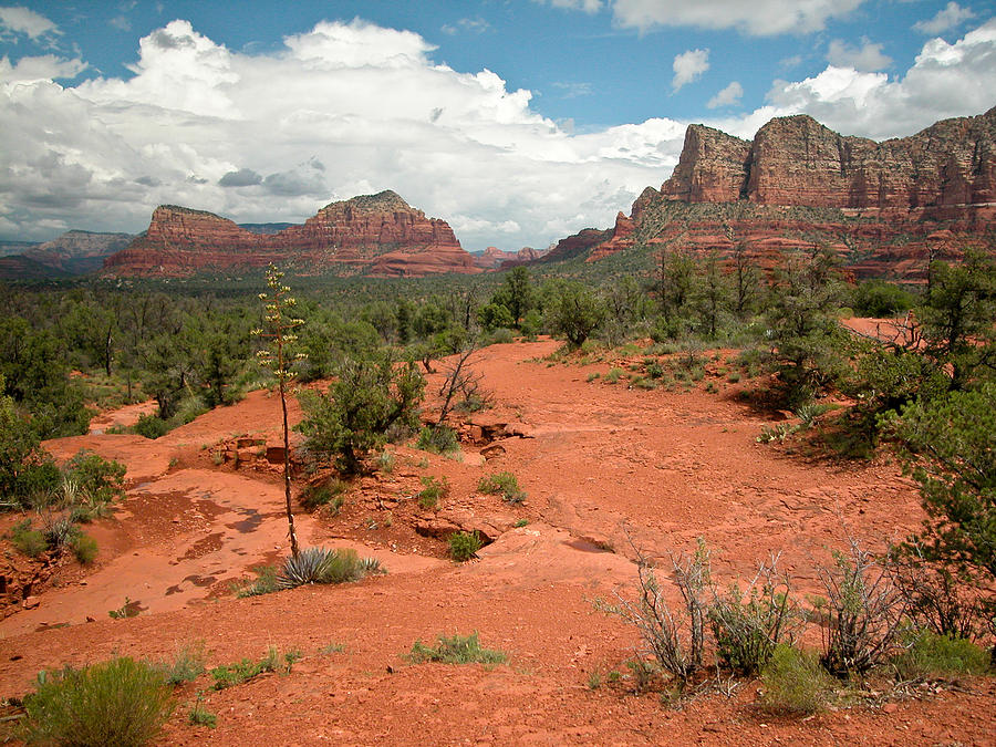 Western terrain near Sedona Arizona  Photograph by Rob Huntley