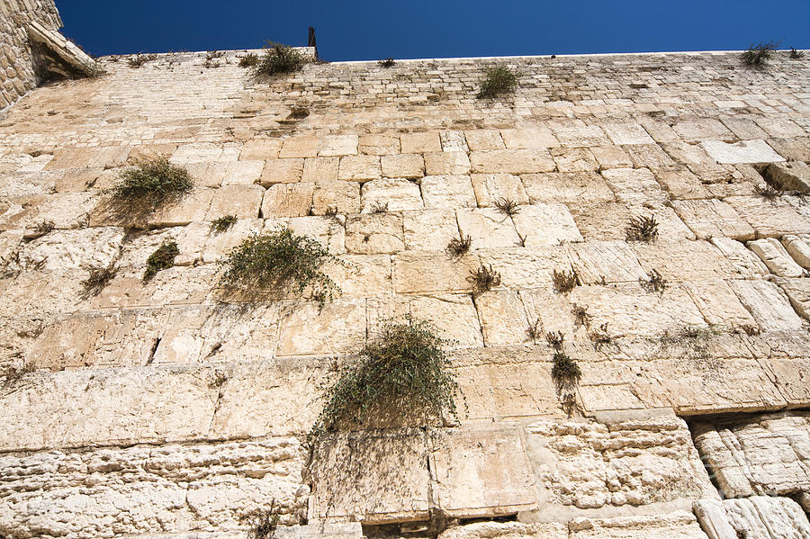 Western Wall Jerusalem Israel  Photograph by Eyal Bartov