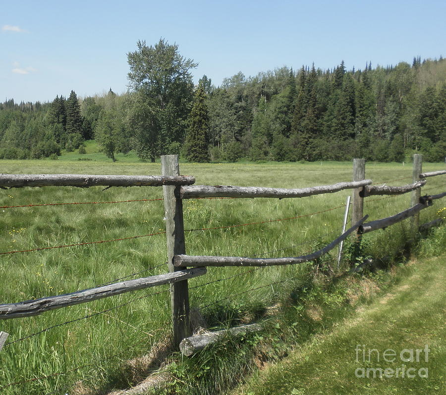 Western Wooden Fence Photograph by Vivian Martin