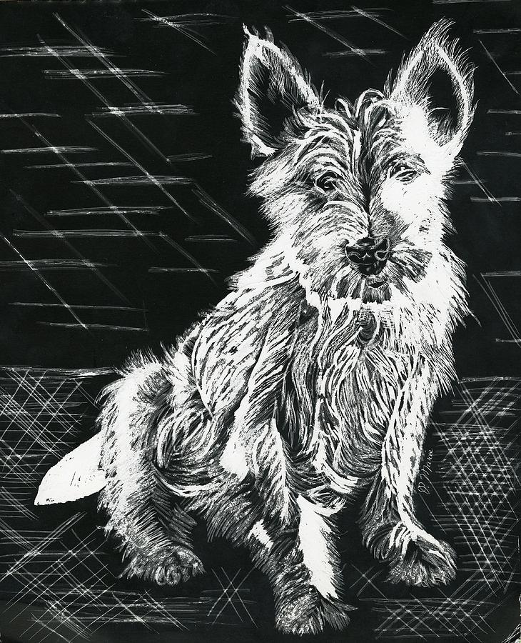 Black And White Painting - Westie by Phyllis Muller