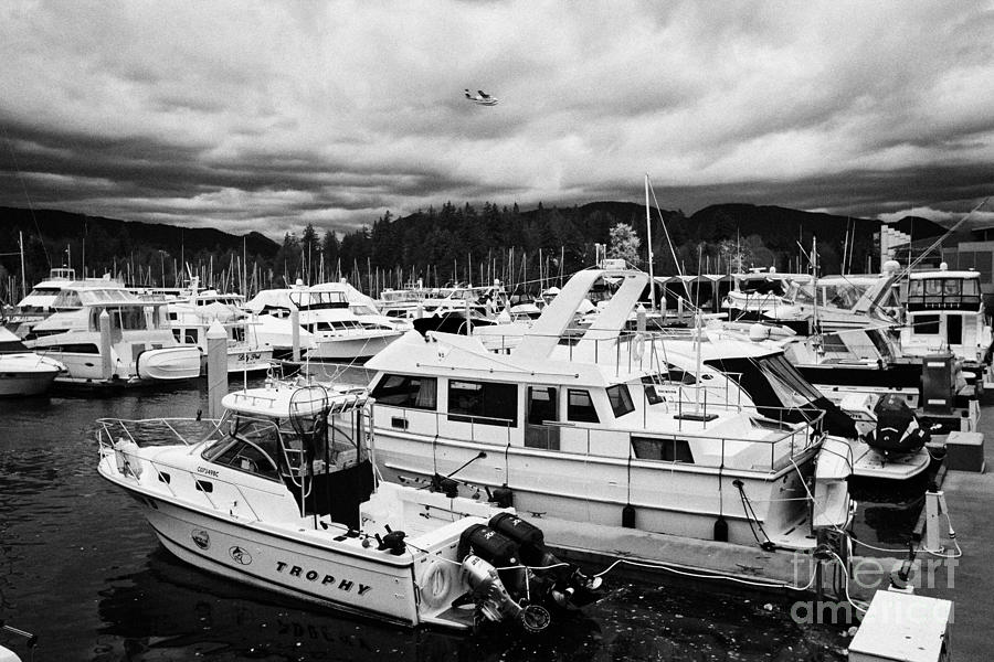 Boat Photograph - westin bayshore marina Vancouver BC Canada by Joe Fox