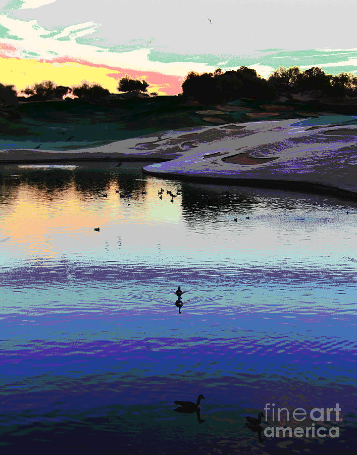 Westin Ducks Photograph by Larry Oskin
