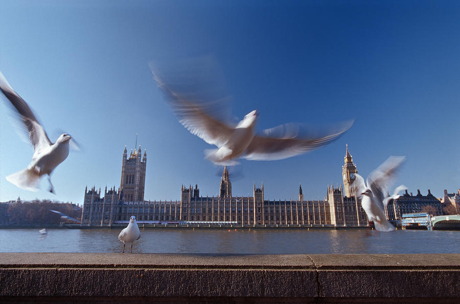 Westminster Palace And Big Ben With Sea Photograph by Laurence Monneret