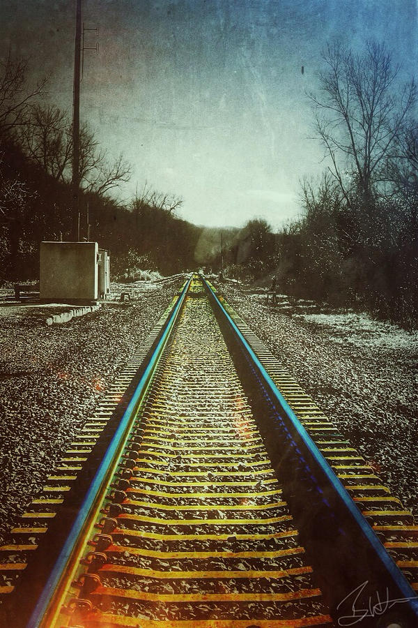 Train Photograph - Weston Tracks by Brian Lea