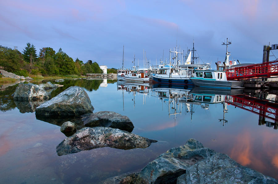 Westview Harbor Photograph by Darren Bradley
