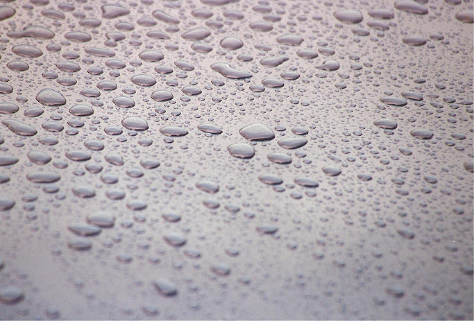 Car Photograph - Wet by Alasdair Shaw
