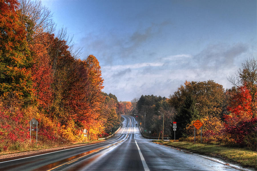 Wet Autumn Road Photograph by Richard Gregurich