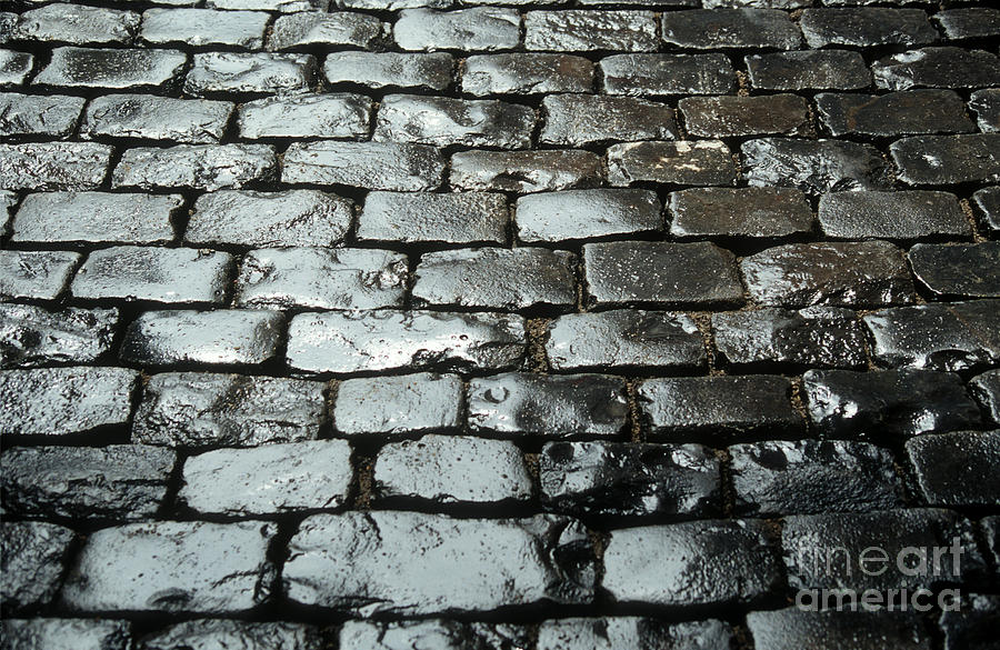 Close-up Photograph - Wet cobblestones on an old pavement by Bernard Jaubert