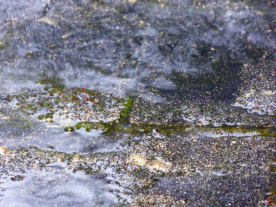 Wet Concrete 3 Photograph by Laurie Tsemak