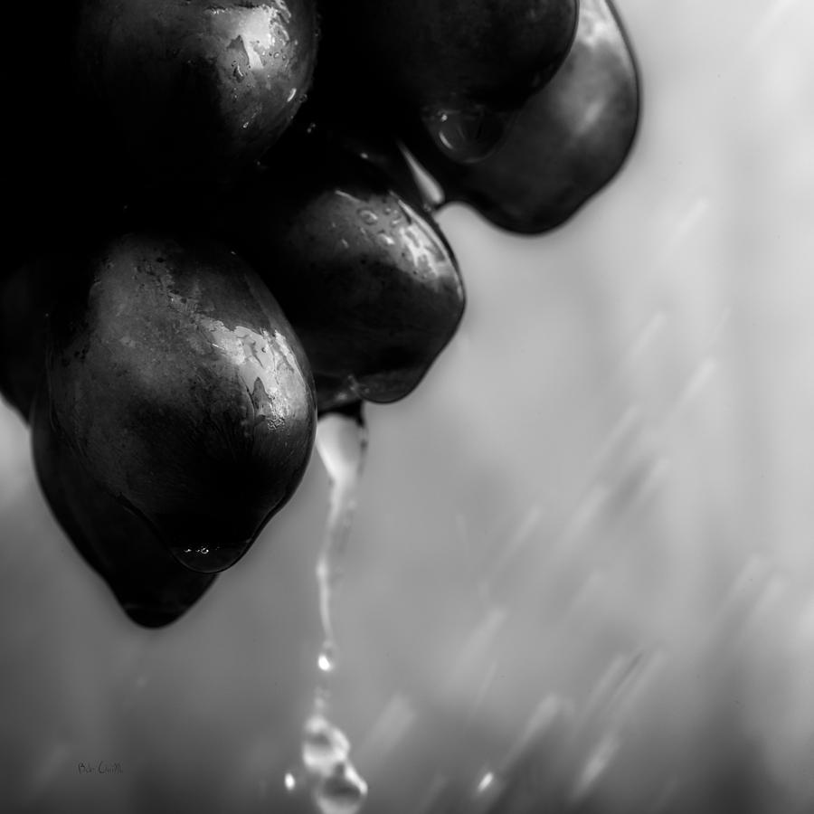 Grape Photograph - Wet Grapes by Bob Orsillo