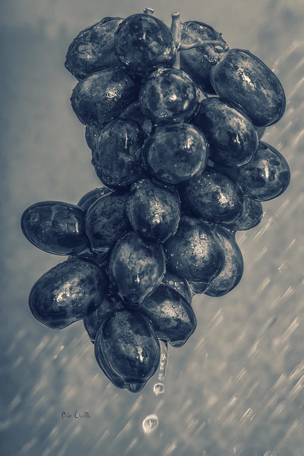 Grape Photograph - Wet Grapes Five by Bob Orsillo