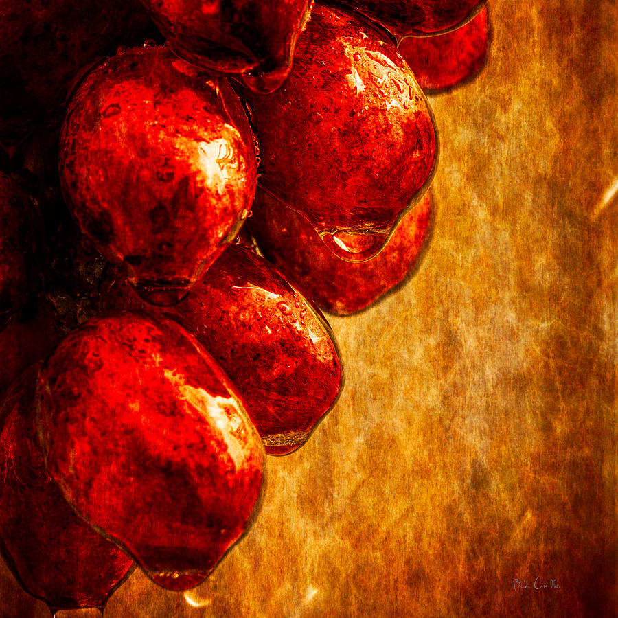 Wet Grapes Three Photograph by Bob Orsillo