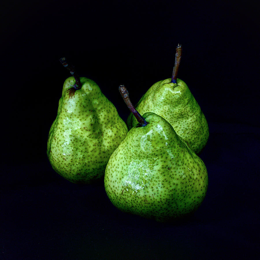 Fruit Photograph - Wet Pears - Still Life - Square by Geoffrey Coelho