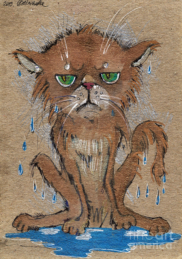 Wet Persian Cat Drawing by Angel Ciesniarska