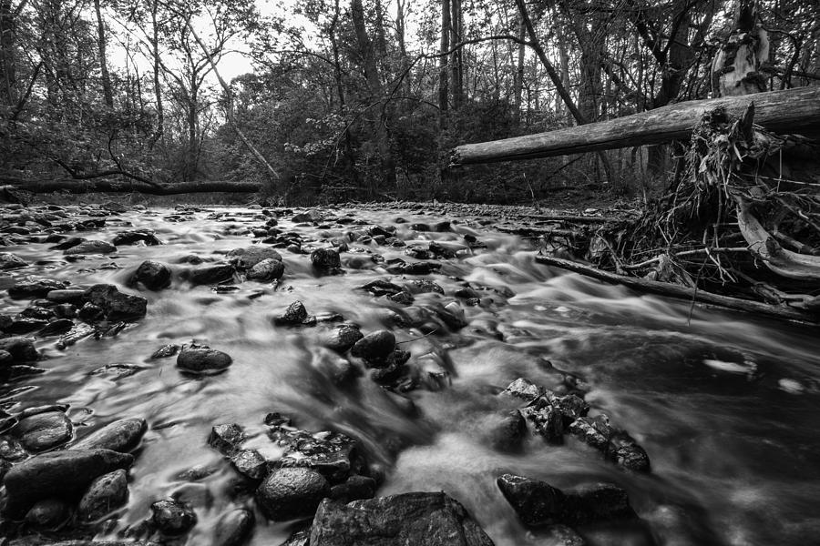 Wet Rocks Photograph by CJ Schmit
