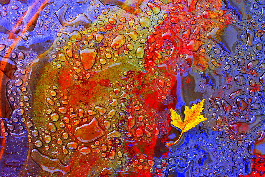 Wet Slate I Photograph by Jeff Ekstrand Fine Art America