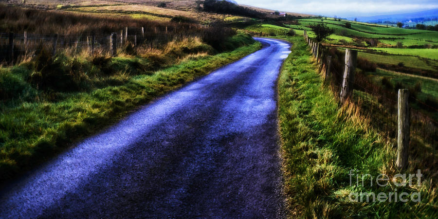 Wet Winding Road Photograph by Thomas R Fletcher