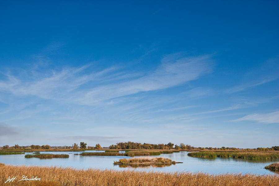 Wetland at the Refuge Photograph by Jeff Goulden