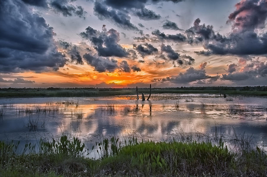 Wetland Orange Sky Photograph by Louise Hill