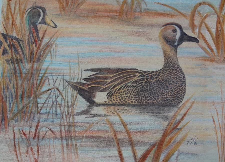 Duck Drawing - Wetland by Peggy Clark