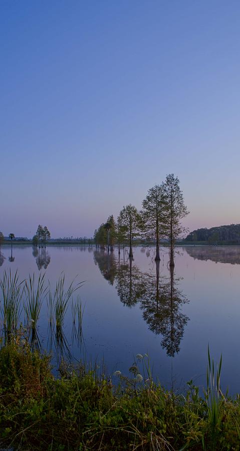 Wetland Sunrise Photograph by Brian Kamprath