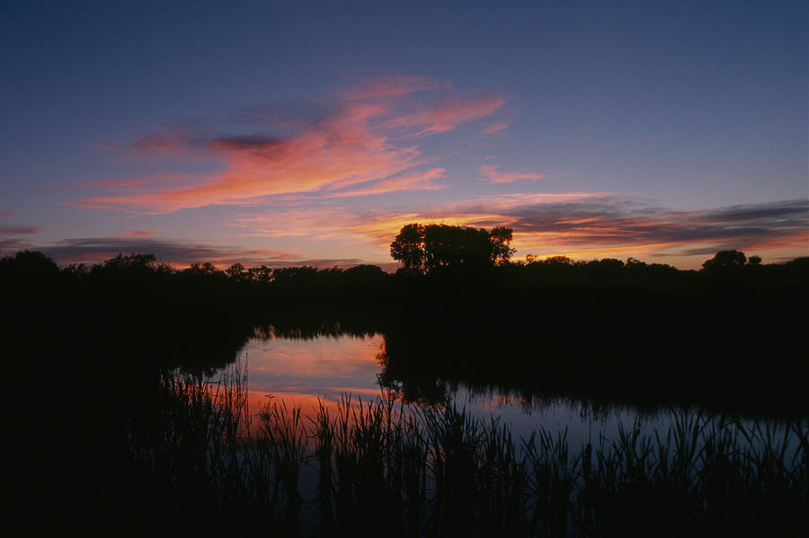 Wetland Sunset 2 Photograph by David Drew