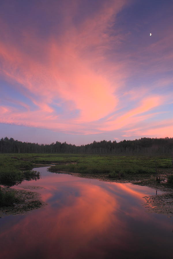 Wetland Sunset and Moon Photograph by John Burk