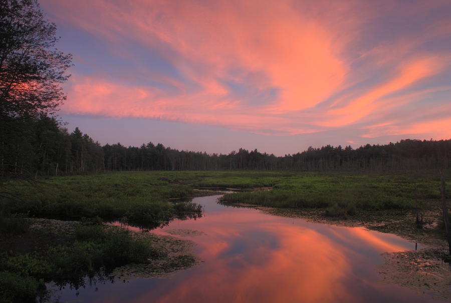Wetland Sunset  Photograph by John Burk