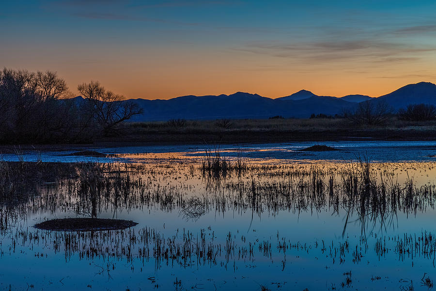 Sunset Photograph - Wetland Twilight by Beverly Parks