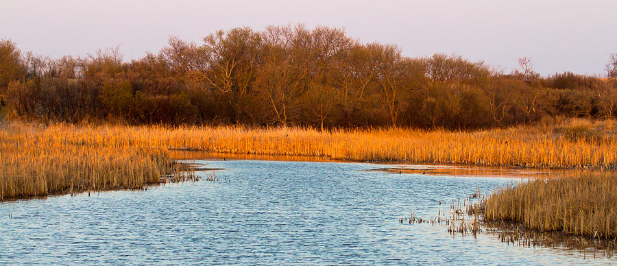 Wetland Photograph by Wayne Vedvig - Fine Art America