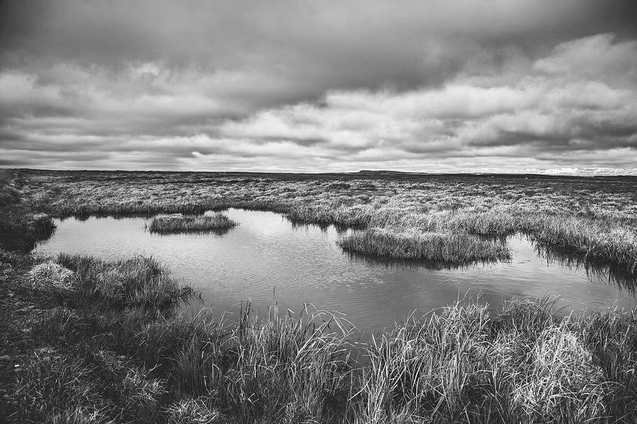 Wetland Photograph by Xavierarnau