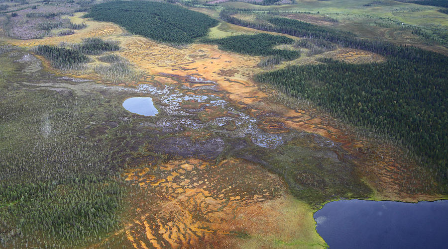 Wetlands and Puddles I Photograph by Pekka Sammallahti