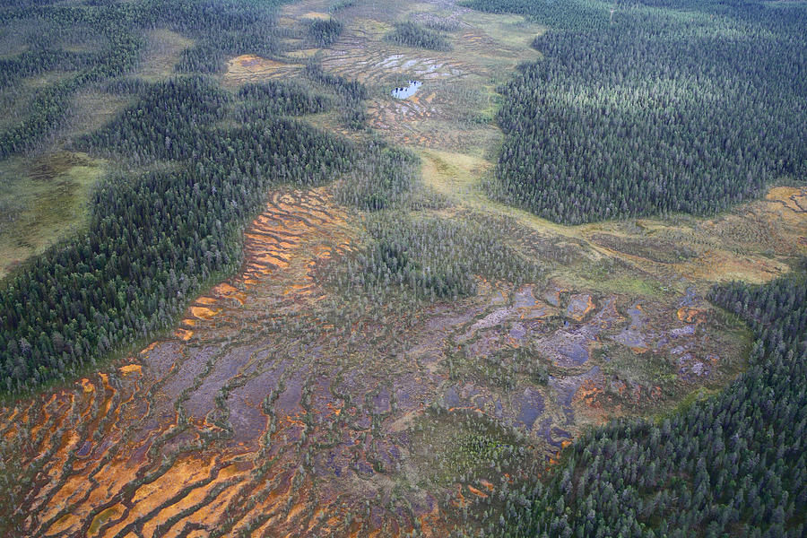Wetlands and Puddles II Photograph by Pekka Sammallahti