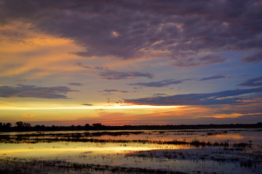 Wetlands Photograph by Bonfire Photography - Fine Art America