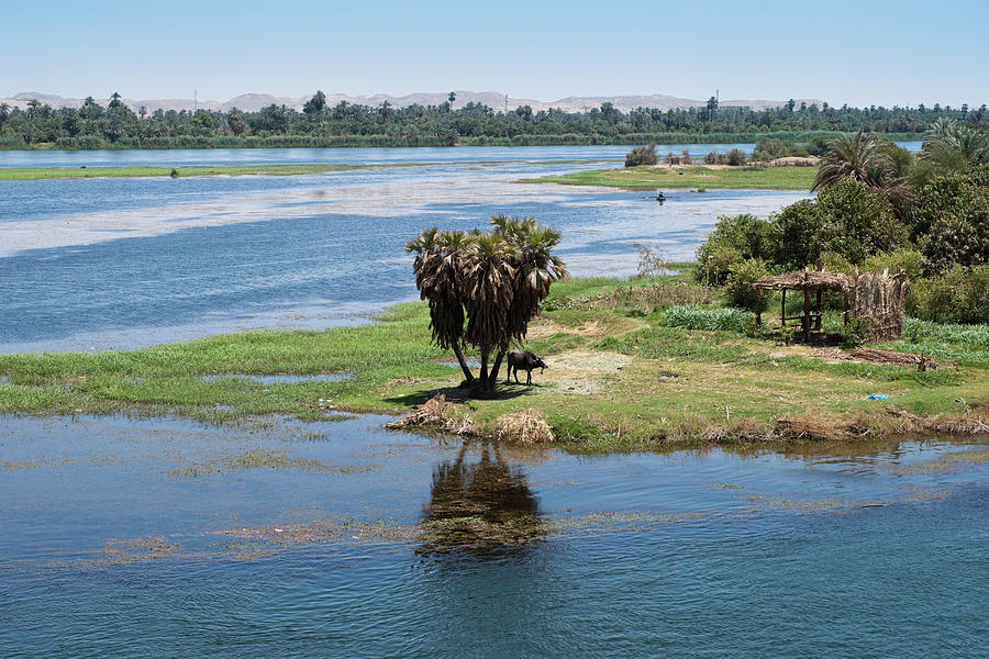 Wetlands Of Nile Riverbanks Photograph by Eric Phan-kim