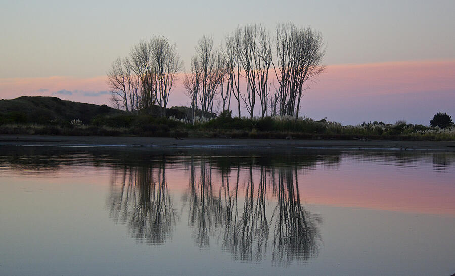 Whakatane River at sunset Photograph by Venetia Featherstone-Witty