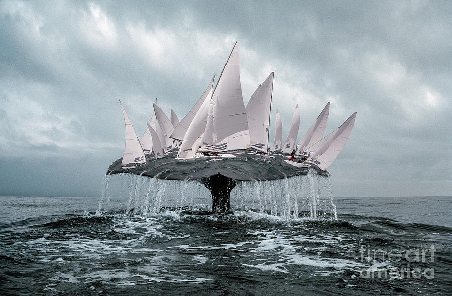 Whale Pyrography by Evgeniy Lankin
