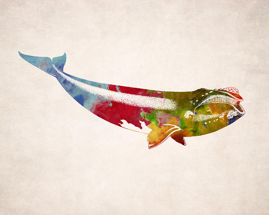 Nature Digital Art - Whale Illustration Design by World Art Prints And Designs