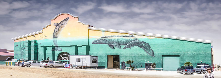 Whale Mural Digital Art by Photographic Art by Russel Ray Photos