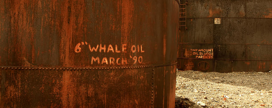 Whale Oil Tanks Photograph by Amanda Stadther
