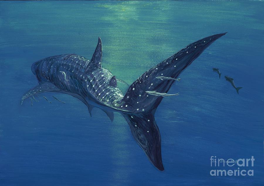 Whale shark Painting by Tom Blodgett Jr