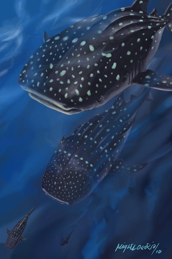 Sharks Painting - Whale Sharks by Miguel Osorio