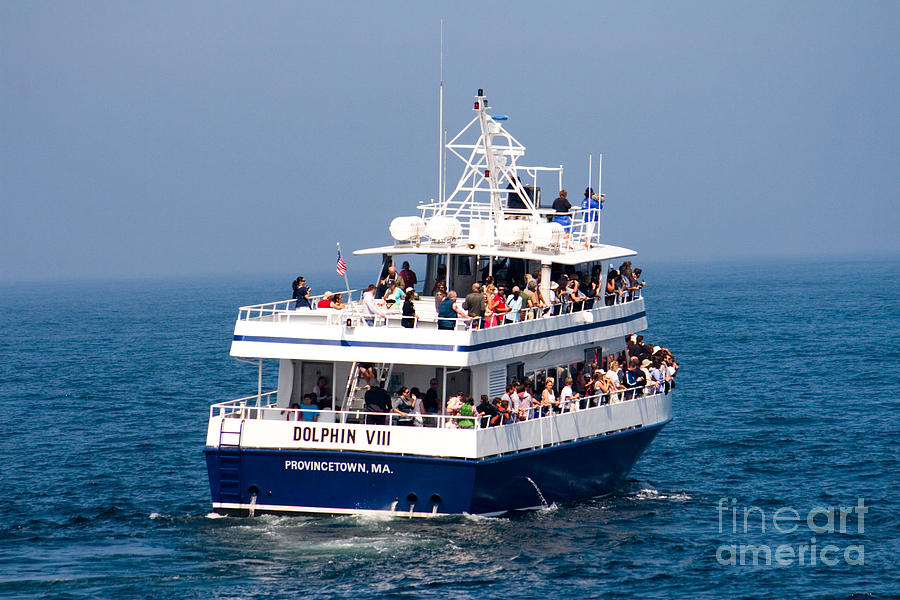 Whale Watching Boat Photograph by Tim Holt | Fine Art America