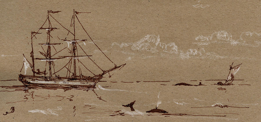 Wildlife Painting - Whaler ship frigate by Juan  Bosco