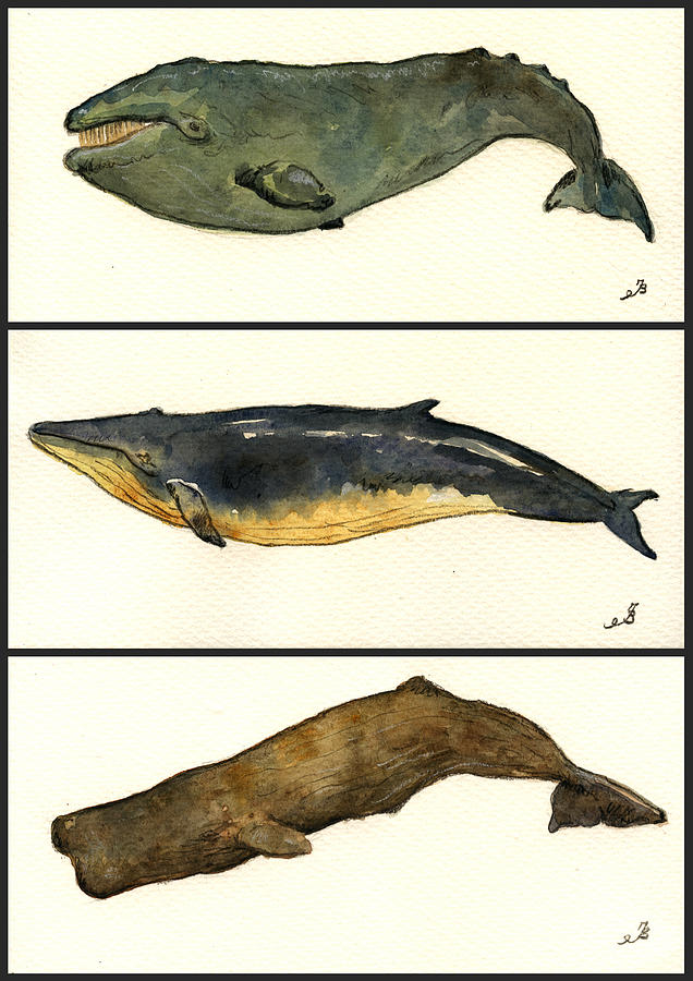 Nature Painting - Whales compilation 2 by Juan  Bosco